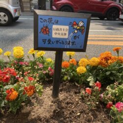 2022/5/25花いっぱい運動植花活動
