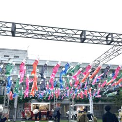 第65回博多どんたく港まつり